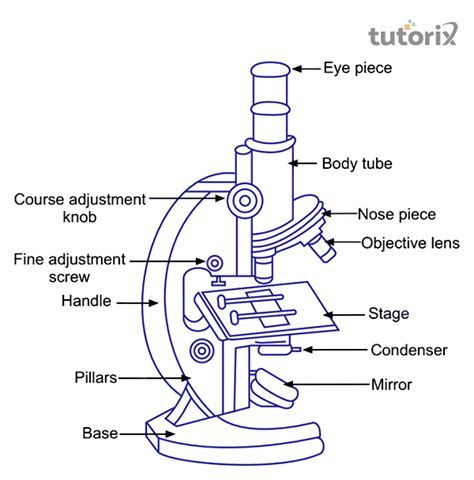 Toradh íomhá ar Compound Microscope Meaning
