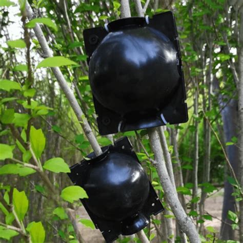 Root Growth Box に対する画像結果