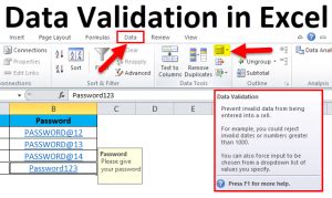 Image result for Data Validation Excel Sample