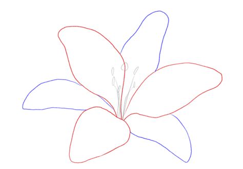 Afbeeldingsresultaten voor Flowers to Draw On Card