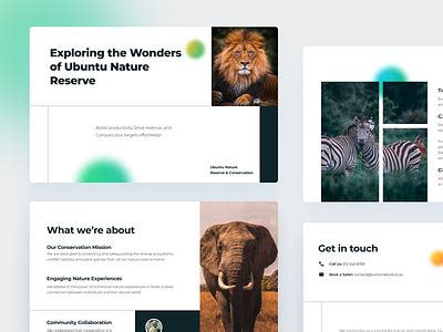 Toradh íomhá ar Ubuntu Modern Icon