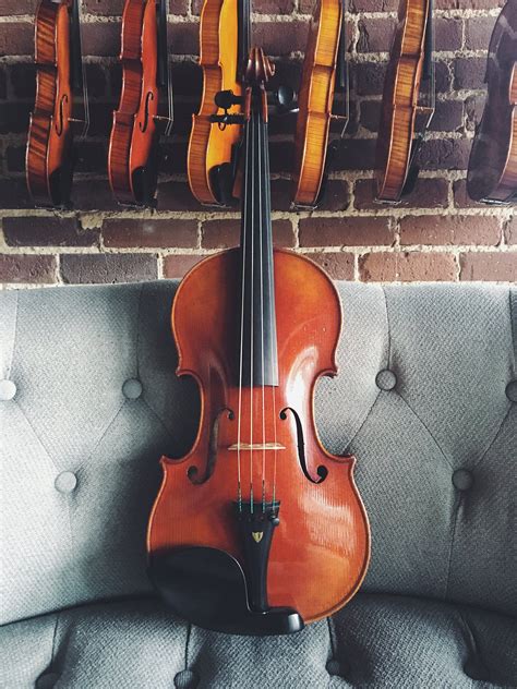 Image result for String Instruments Viola Violin