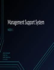 Image result for Management Support System Process