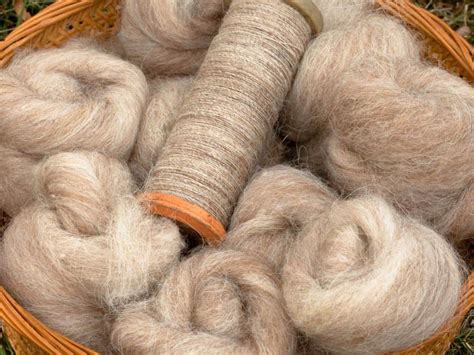 Toradh íomhá ar Wool Yarn Dyeing Process