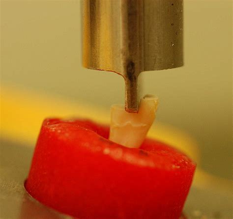 Image result for Root Fracture Universal Testing Machine