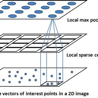Toradh íomhá ar Example of Sparse Coding Psychology