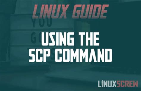 SCP Command に対する画像結果