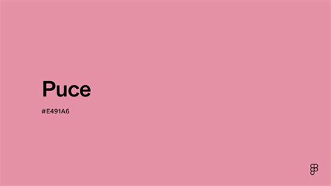 Image result for Angular Puce