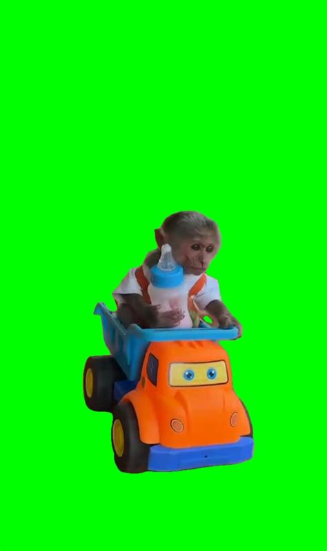 Image result for Monkey in Garage Meme Song
