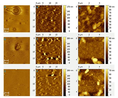Microscope Reference Scale に対する画像結果