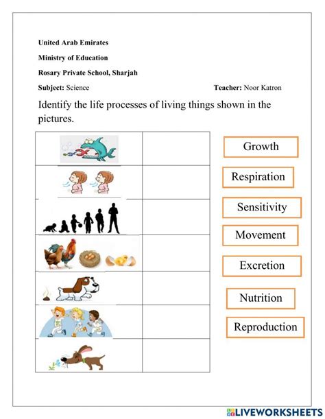 Image result for 7 Life Processes Worksheet