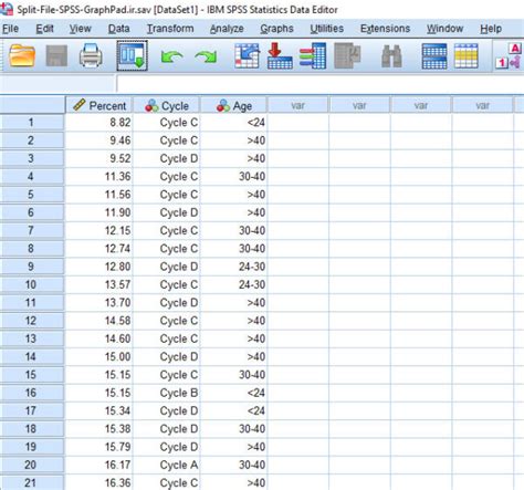 Image result for What Is Split File in SPSS