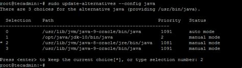 Image result for Switch Between Java Versions