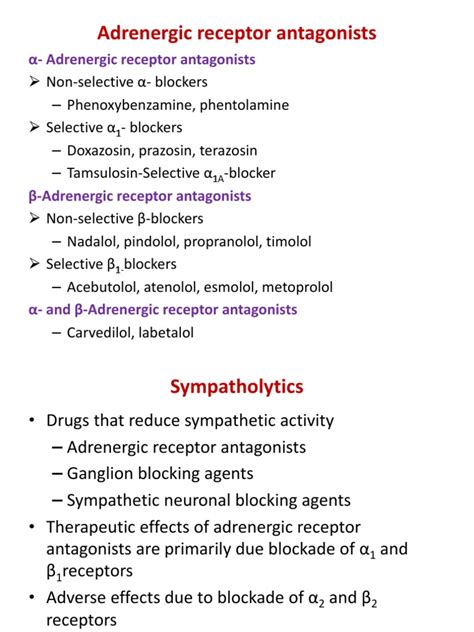 Adrenergic Receptor Antagonists | PDF | Angiology | Aging Associated ...