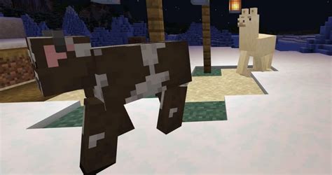 Image result for Minecraft Advanced Animations