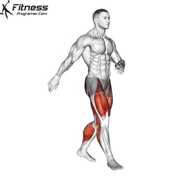 Afbeeldingsresultaten voor Muscles Used Walking