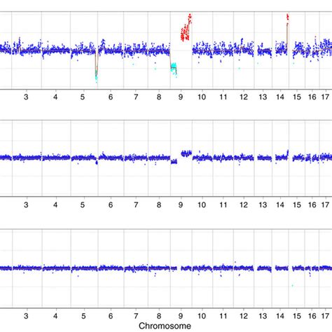 Image result for Copy Number Variation in Cancer Example