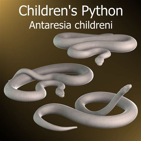 Image result for Python Childreni