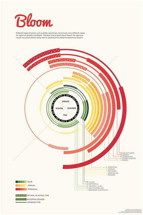 Image result for Bloom Graph Visualization