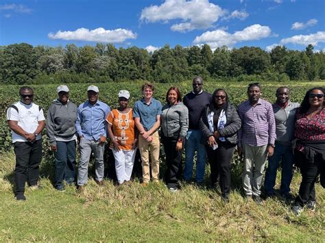 Image result for Wafa Boutaibi