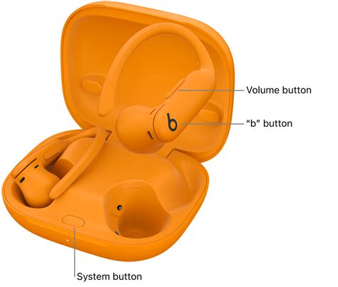 Image result for Power Beats Pro App