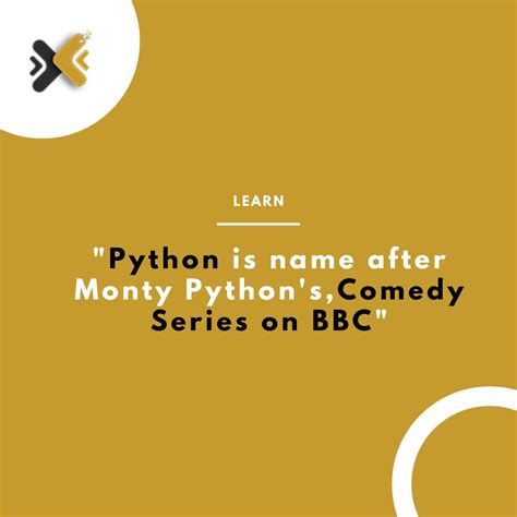Image result for Monty Python and Language Python