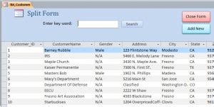 Afbeeldingsresultaten voor MS Access Split Form in Tamil