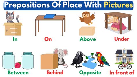 Above Picture Example に対する画像結果