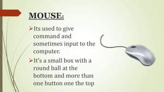 Image result for Input and Outfut Computer Mouse Diagram