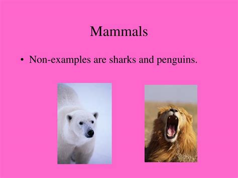 Image result for Non Examples of Taxonomy