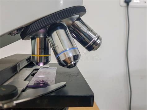 Close Up of Microscope Slide に対する画像結果