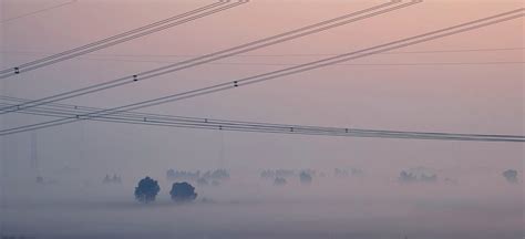 Image result for What Is a Fog Line