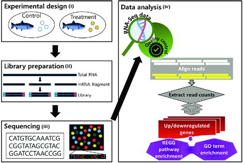 Transcriptome RNA-Seq-साठीचा प्रतिमा निकाल