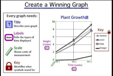Image result for Labeled Graph