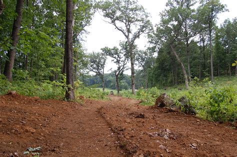 Image result for Waterway Spring Line