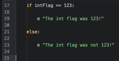 Image result for True False Flags in Python