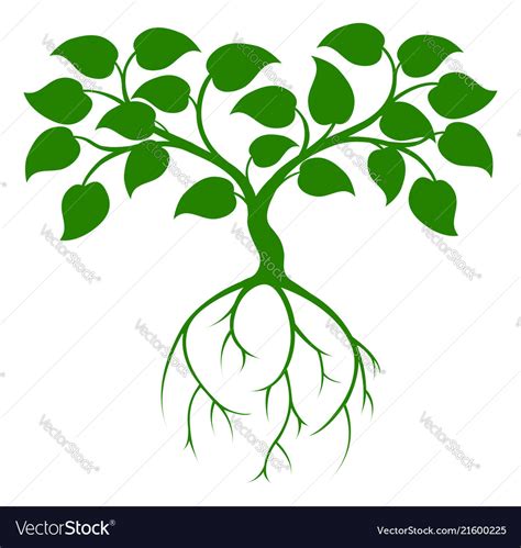 Image result for Free Green Tree Vector