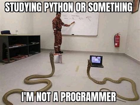 Image result for R Over Python Meme