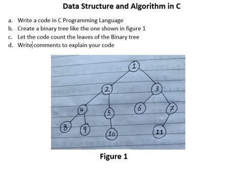 Image result for C Algorithm Writing