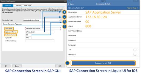 SAP Connection Server に対する画像結果