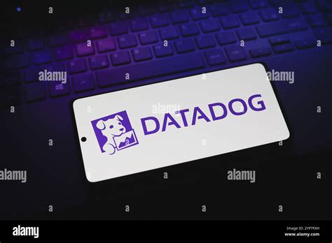 Image result for Datadog Vector Logo