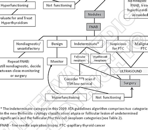 Image result for Thyroid Hormone Algorithm
