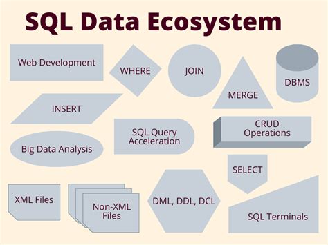 Toradh íomhá ar SQL Commands Practical