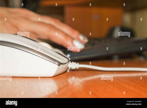 Hand On Computer Mouse above View ਲਈ ਪ੍ਰਤੀਬਿੰਬ ਨਤੀਜਾ