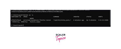 Afbeeldingsresultaten voor Selenium Java Topics