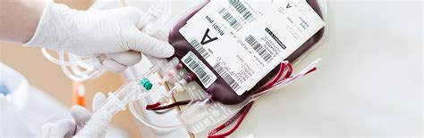 Image result for Blood Transfusion Therapy
