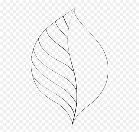 Image result for Simple Leaf Drawing Transparent Background