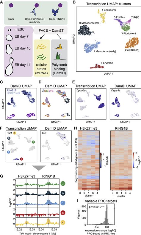 Image result for Single Cell Histone Modification