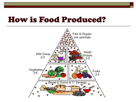 Image result for How Food Is Produced