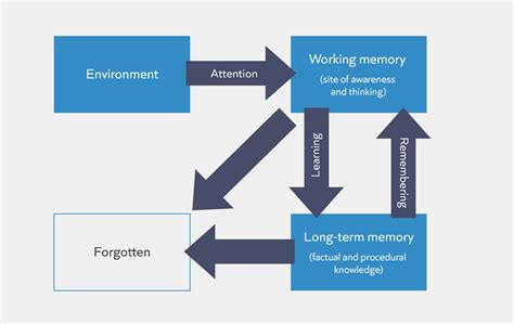 Image result for Model of Long-Term Memory